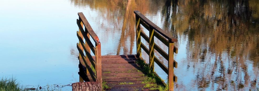 Die eigene Oase im Garten - Die richtige Beleuchtung für den Teich