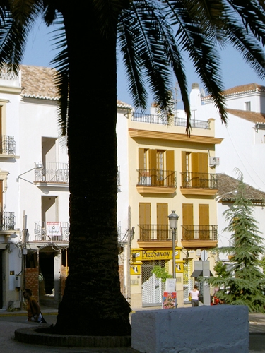 Palmen spanische Gasse Laterne